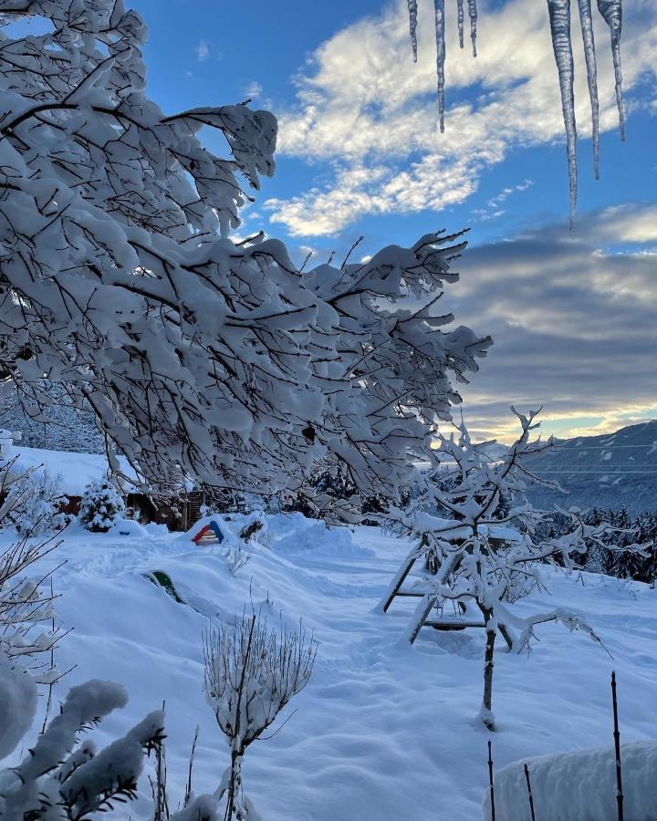 Naturgut Gailtal Sankt Stefan an der Gail Kültér fotó