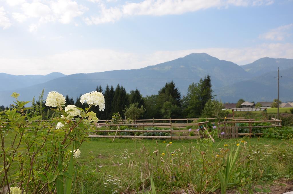 Naturgut Gailtal Sankt Stefan an der Gail Kültér fotó