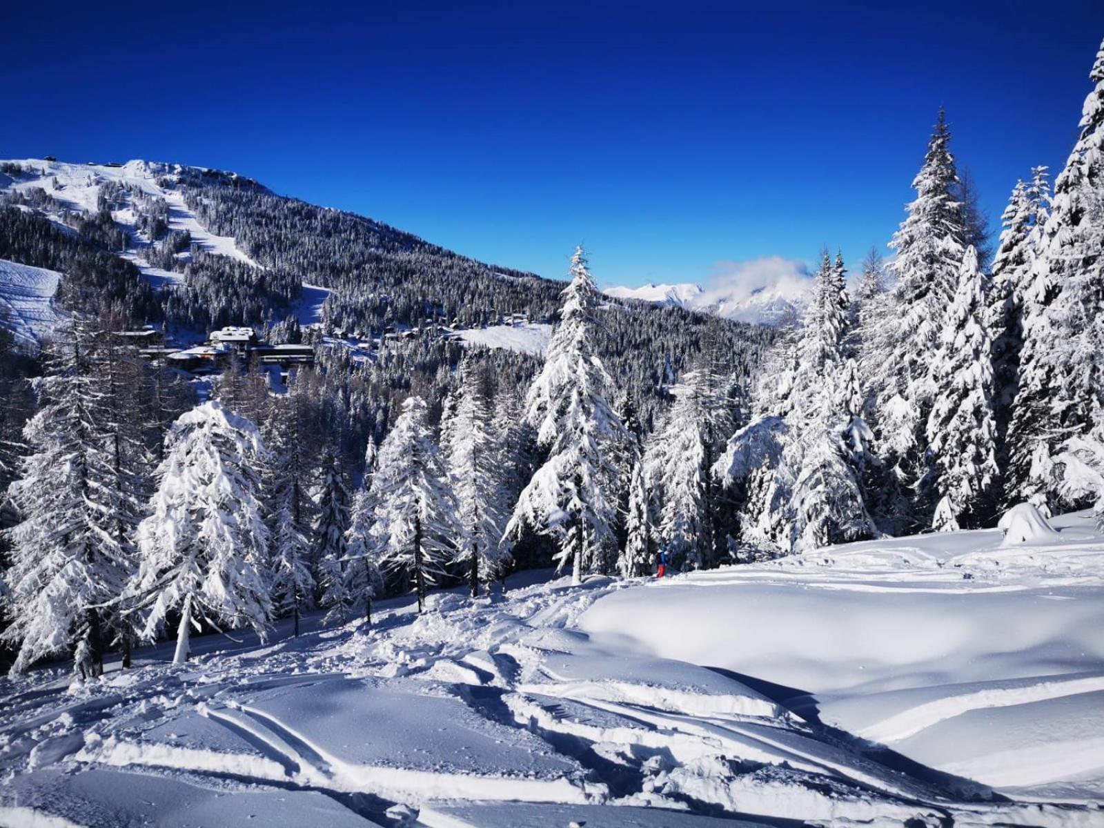 Naturgut Gailtal Sankt Stefan an der Gail Kültér fotó